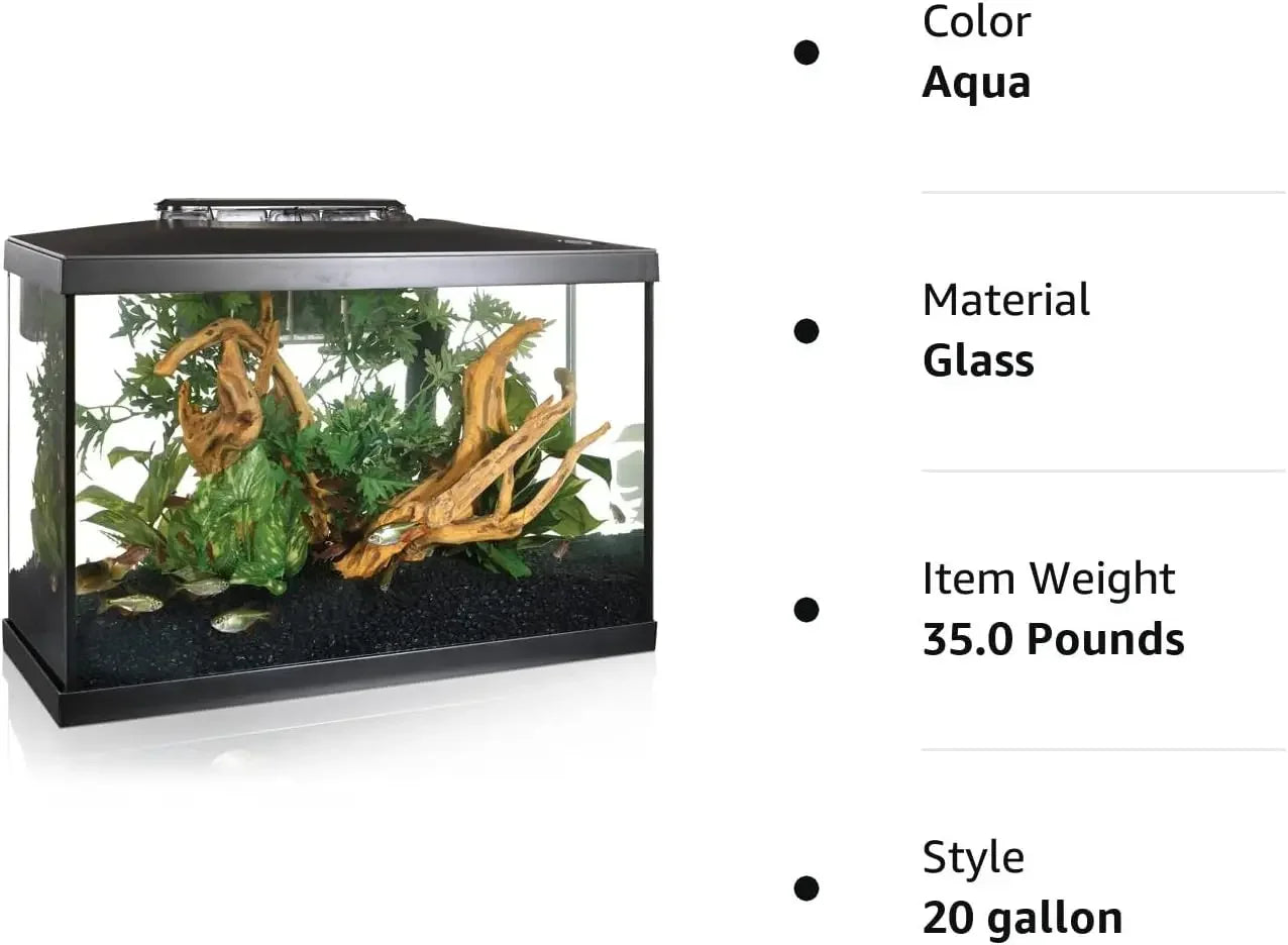 Aquarium Kit 20 Gallon Tank Fishkeeping Hatchery