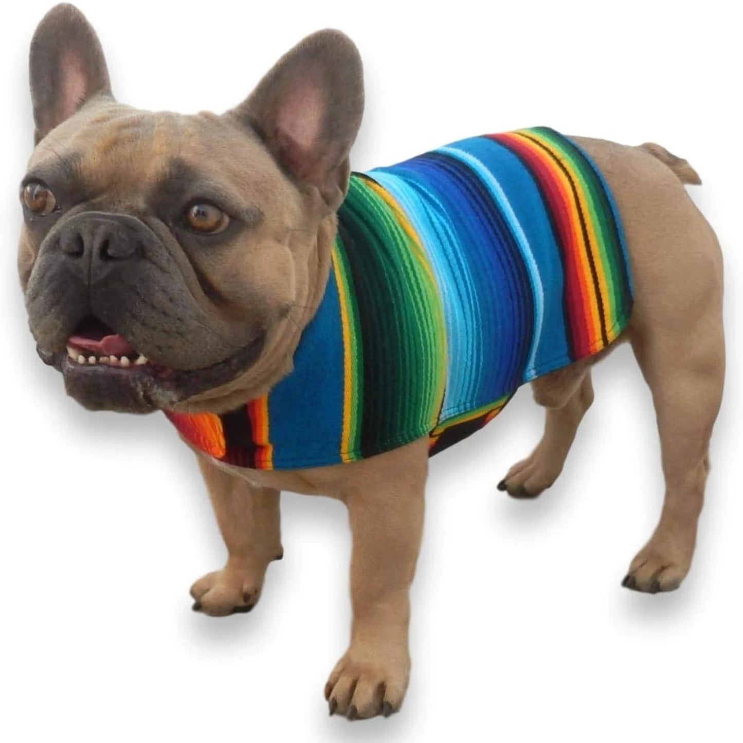 Cozy And Stylish Blue Mexican Dog Poncho