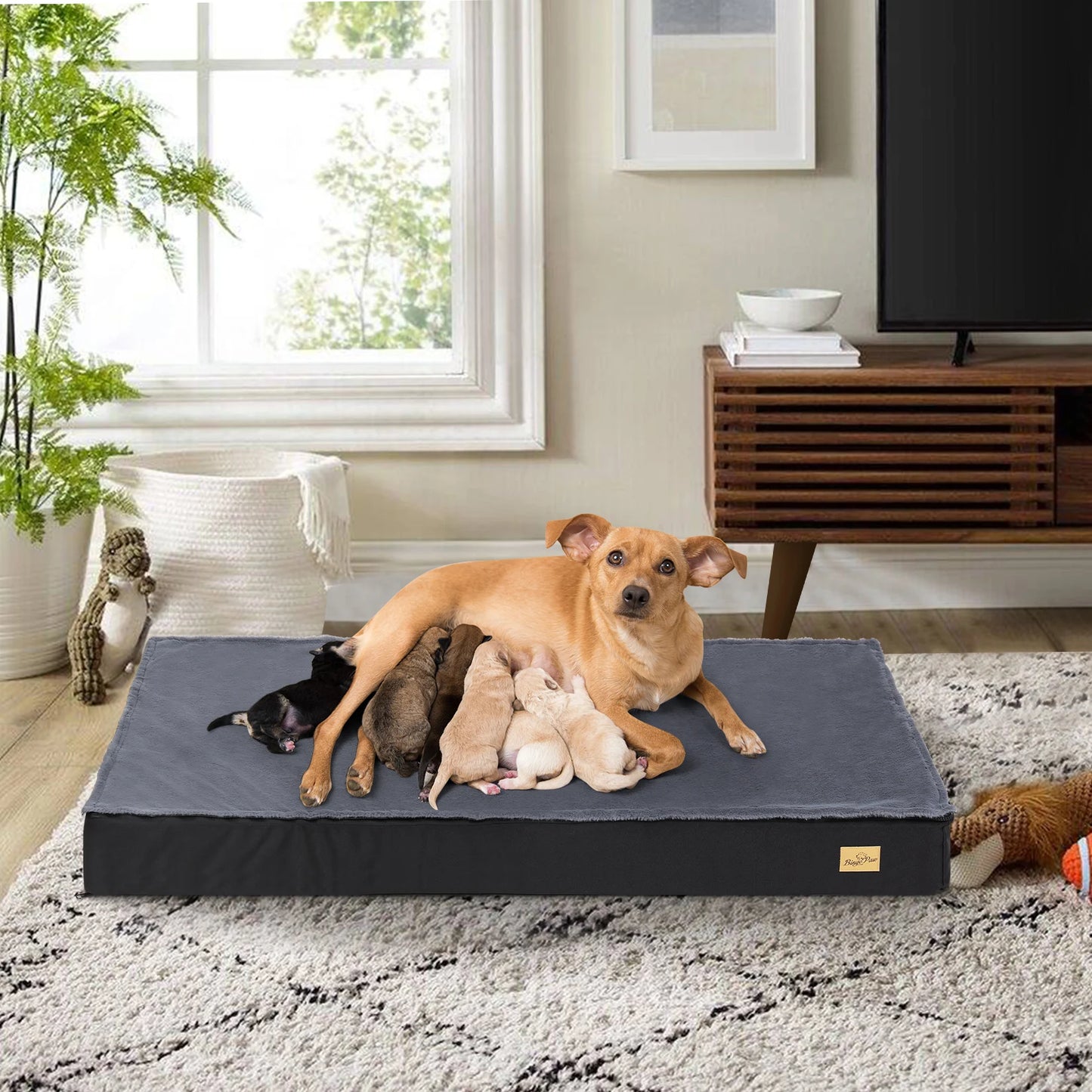 Washable Comfortable Dog Beds For Large Dogs