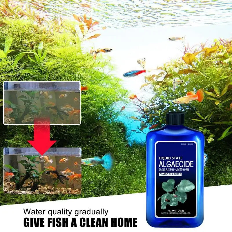 Aquarium Algae Control Fish-Friendly Purifies Water Quality 245ml