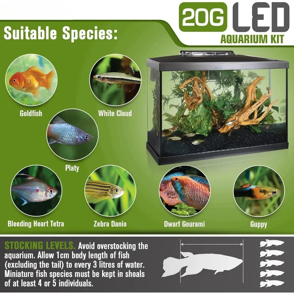 Aquarium Kit 20 Gallon Tank Fishkeeping Hatchery