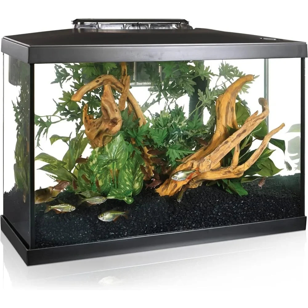 Aquarium Kit 20 Gallon Tank Fishkeeping Hatchery