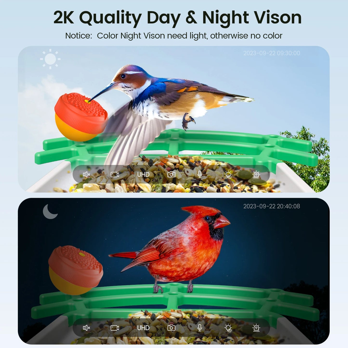 Outdoor Wireless Camera Bird Feeder Night Vision