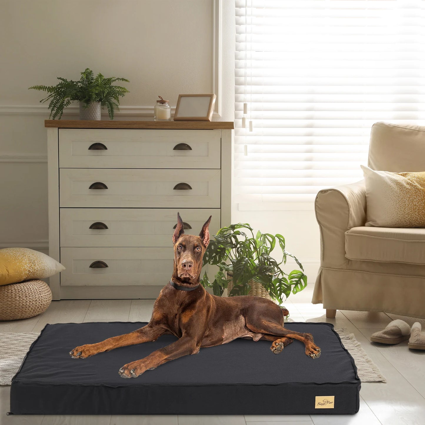 Washable Comfortable Dog Beds For Large Dogs