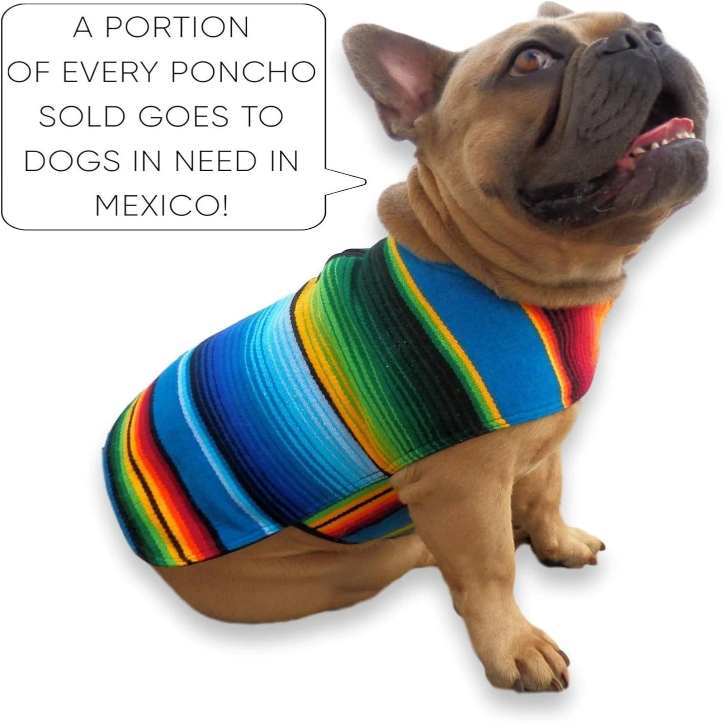 Cozy And Stylish Blue Mexican Dog Poncho