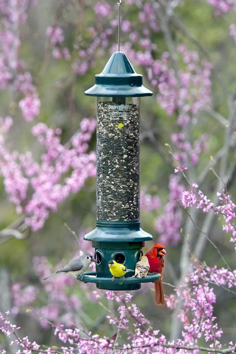 Squirrel-proof Bird Feeder w/Cardinal Ring Green