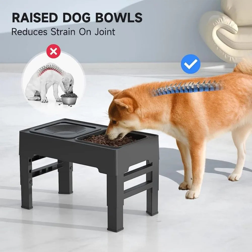 2-in-1 Elevated Slow Feeder Dog Bowls