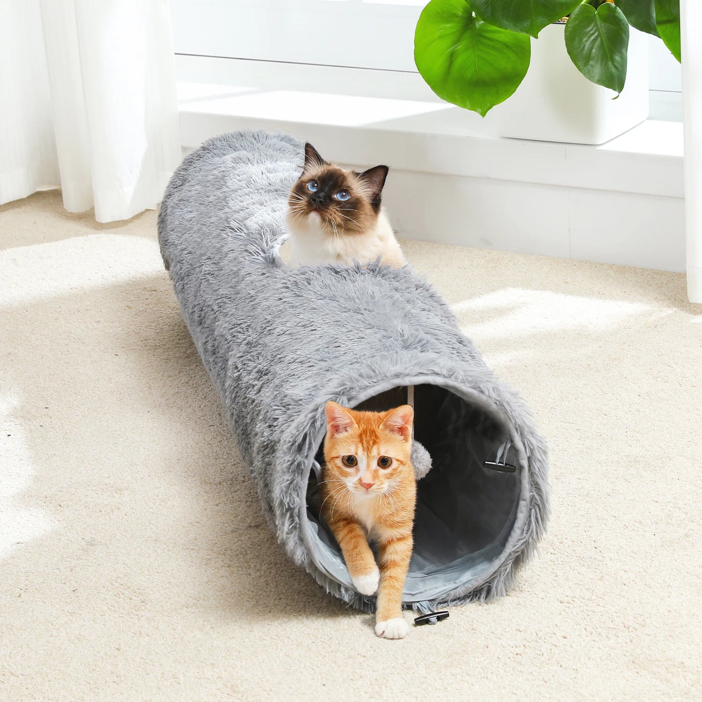 Large Collapsible Cat Tunnel Indoors