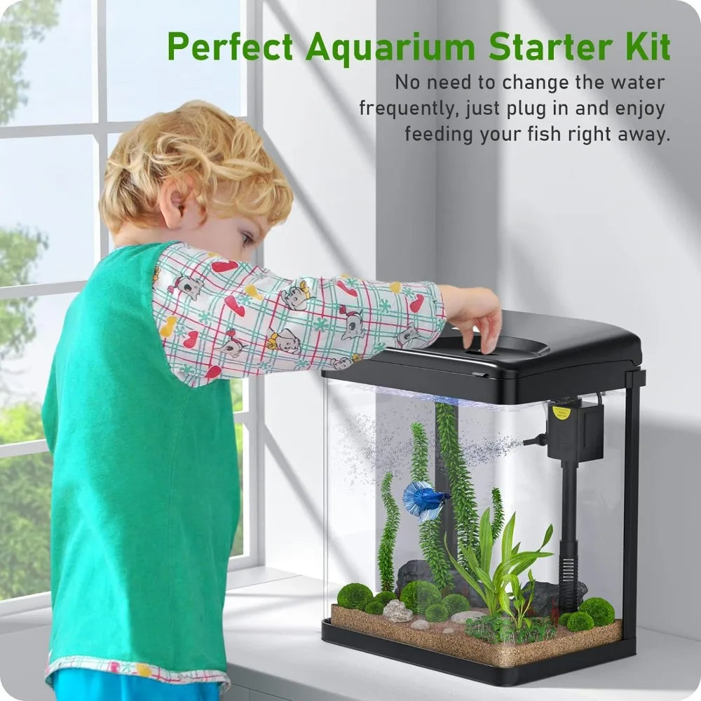 2 Gallon Fish Tank With Pump And Filter