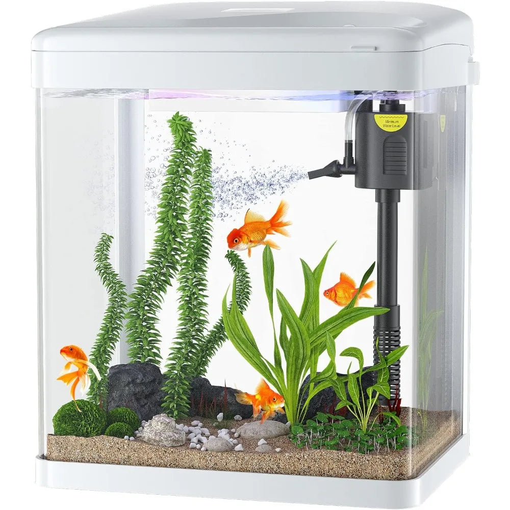 2 Gallon Fish Tank With Pump And Filter