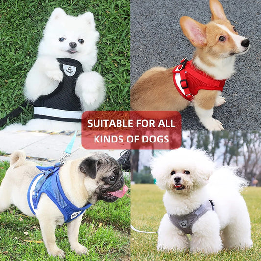 Small Dog Adjustable Safety Harness leash Set