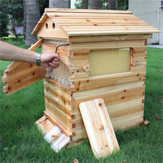 Beekeeping Equipmen Wooden Beehive 7pcs