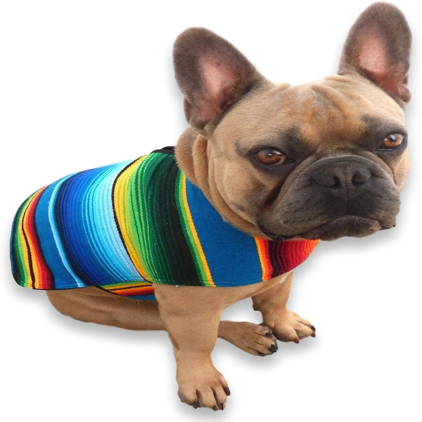 Cozy And Stylish Blue Mexican Dog Poncho