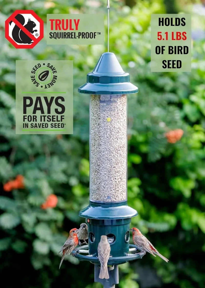 Squirrel-proof Bird Feeder w/Cardinal Ring Green