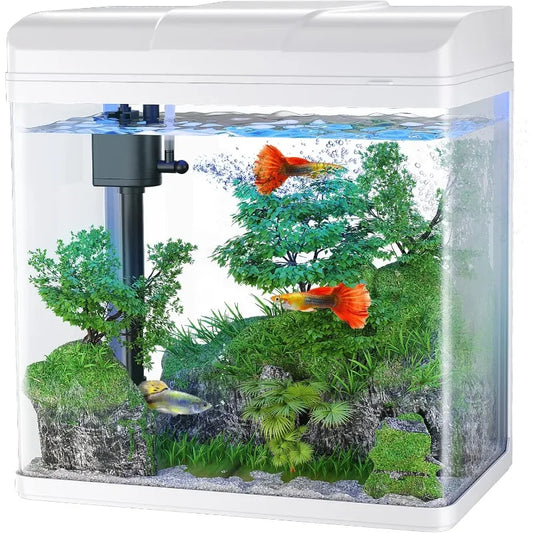 Glass Aquarium With Air Pump, LED Lights