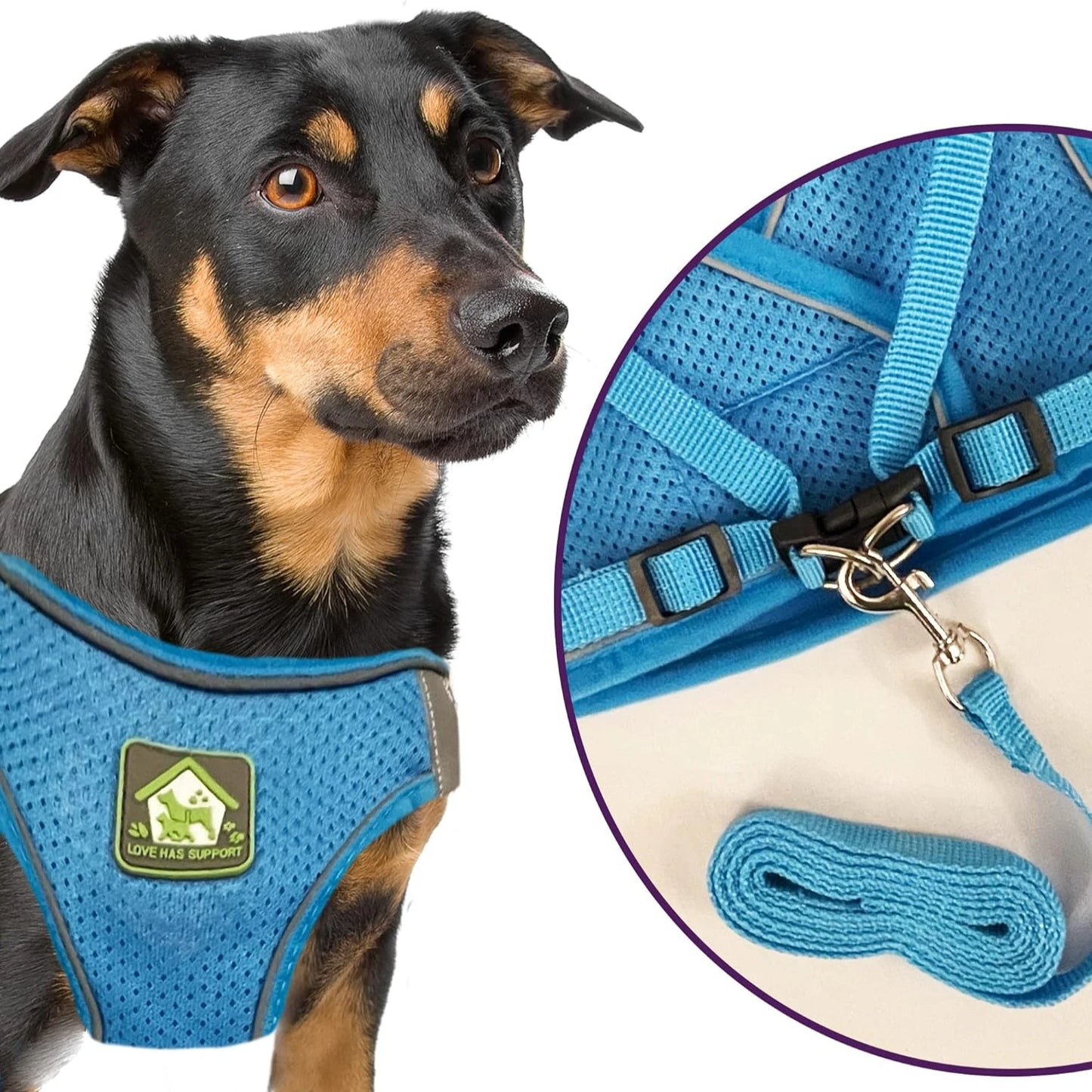 Comfortable And Stylish Pet Harness Leash Combo