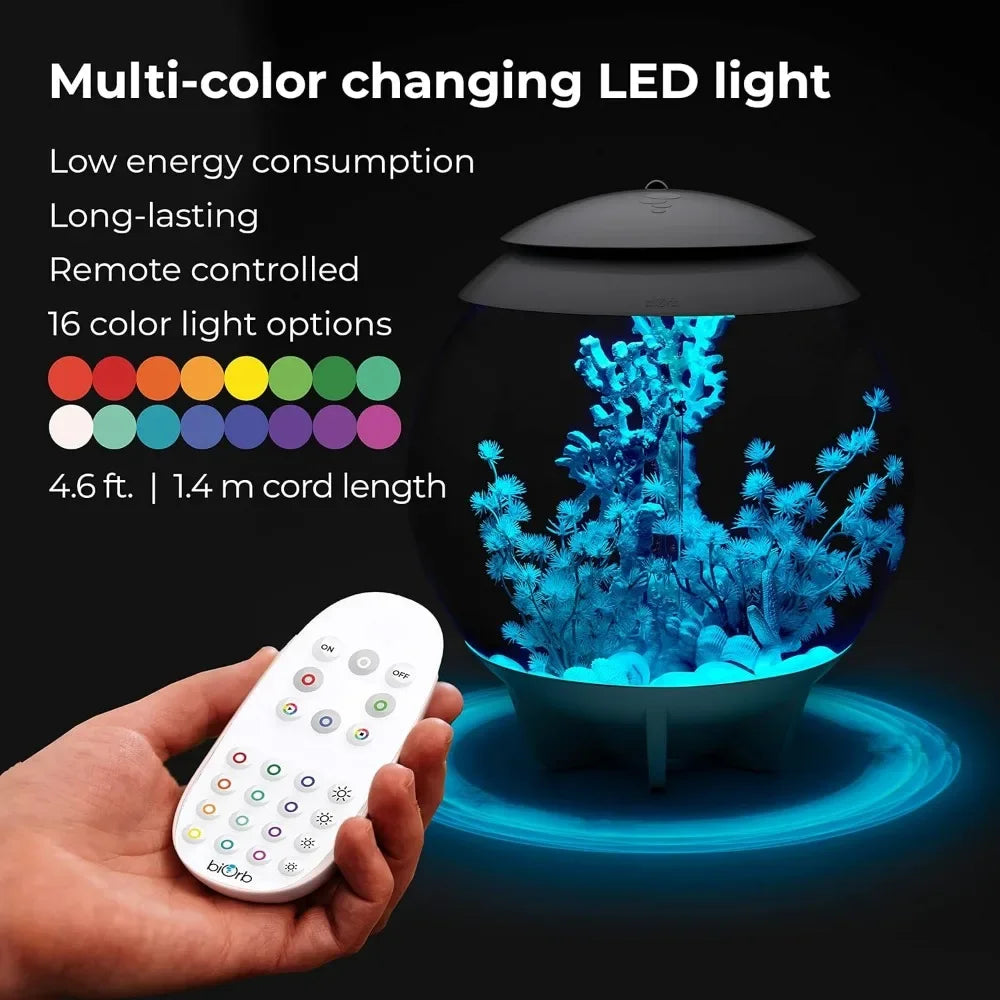 Acrylic 4-Gallon Aquarium with Multi-Color Remote-Controlled LED Lights