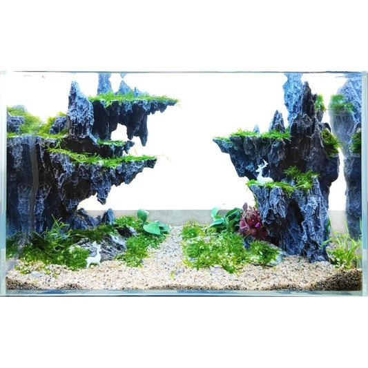 Aquarium Fish Tank Decorated With Rocks